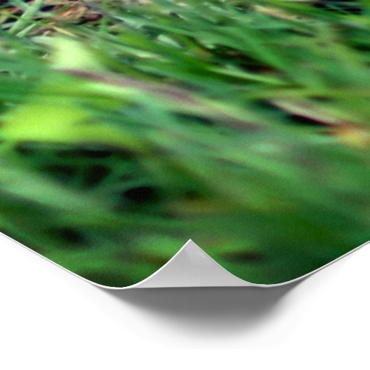 かわいいベビーチムンクピーキングワイルドライフ ポスター (角)