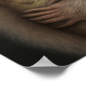 かわいいベビーナマケモノ笑顔の野生動物自然動物 ポスター (角)