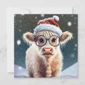 かわいいベビーハイランドカウインザスノー (正面)