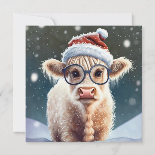 かわいいベビーハイランドカウインザスノー (正面)