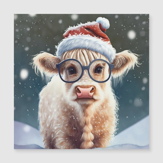 かわいいベビーハイランドカウインザスノー (正面)