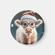 かわいいベビーハイランドカウインザスノー