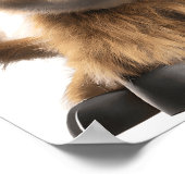 かわいいベビーハイランドカウポスタープリント ポスター (角)