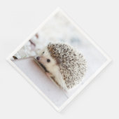 かわいいベビーハリネズミ動物 (コーナー)