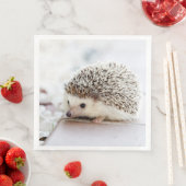 かわいいベビーハリネズミ動物 (インサイチュ)