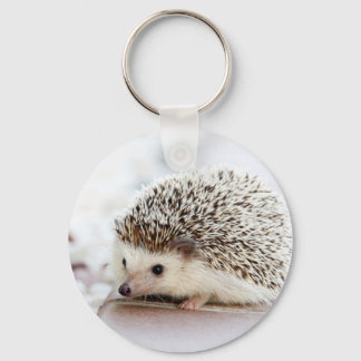かわいいベビーハリネズミ動物 キーホルダー