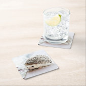 かわいいベビーハリネズミ動物 スクエアペーパーコースター (インサイチュ)