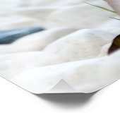 かわいいベビーハリネズミ動物 フォトプリント            (角)