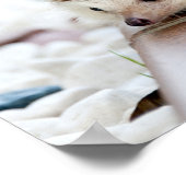 かわいいベビーハリネズミ動物 ポスター (角)