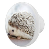 かわいいベビーハリネズミ セラミックノブ (右)