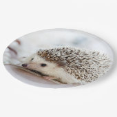 かわいいベビーハリネズミ ペーパープレート (アングル)