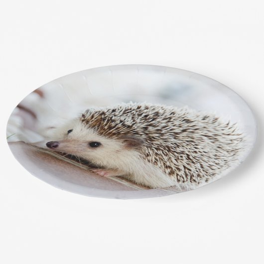 かわいいベビーハリネズミ ペーパープレート (アングル)