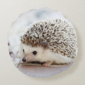 かわいいベビーハリネズミ ラウンドクッション (裏面)