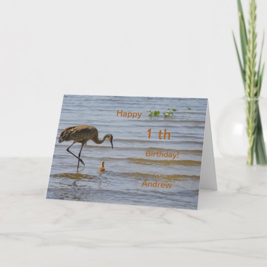 かわいいベビーバードインザレイクハッピー1誕生日 案内状 (正面)