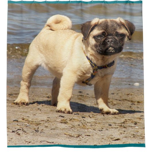 かわいいベビーパグシャワーカーテン シャワーカーテン (正面)