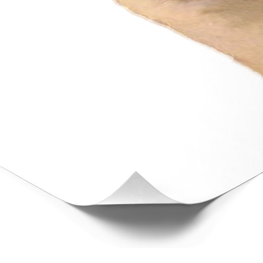 かわいいベビービスケットパグポートレートポスター ポスター (コーナー)