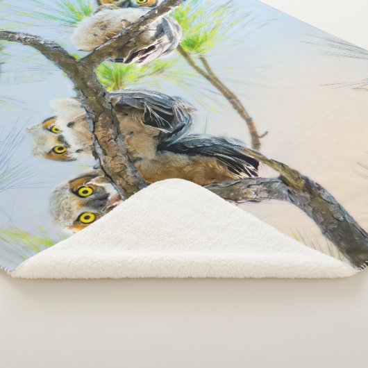 かわいいベビーフクロウ素晴らしズ角野生生物ファインアート シェルパブランケット (3/4)