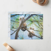 かわいいベビーフクロウ野生生物写真モダン ノートカード (正面/裏面インサイチュ)