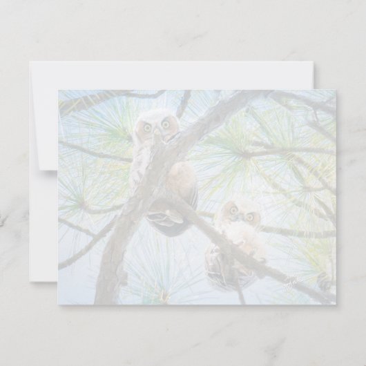 かわいいベビーフクロウ野生生物写真モダン ノートカード (裏面)