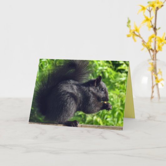 かわいいベビーブラックリス食べレルの種子自然 カード (黄色い花)