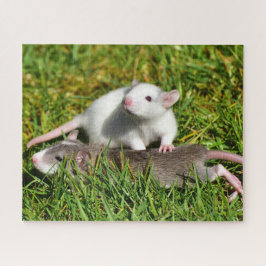 かわいいベビーペット草の中 ジグソーパズル