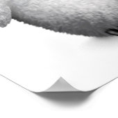 かわいいベビーペンギン眼鏡をかけて白く ポスター (角)