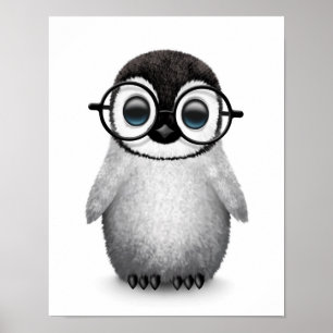 かわいいベビーペンギン眼鏡をかけて白く ポスター