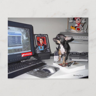 かわいいベビーミッキーエルビス1 ポストカード