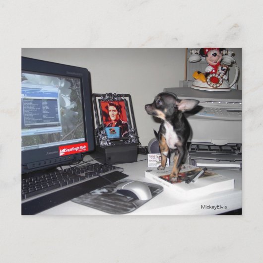 かわいいベビーミッキーエルビス1 ポストカード (正面)