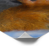 かわいいベビーモンキーが救出 ポスター (角)