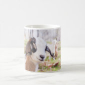 かわいいベビーヤギのキッチンティー&コーヒーマグ コーヒーマグカップ (中央)