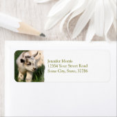 かわいいベビーヤギ ラベル (インサイチュ)