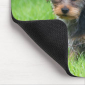 かわいいベビーヨークシャーテリア悲しい目の表情で子犬 マウスパッド (コーナー)