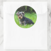 かわいいベビーヨークシャーテリア悲しい目の表情で子犬 ラウンドシール (バッグ)