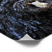 かわいいベビーリス自然野生生物写真 ポスター (角)