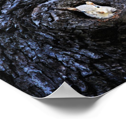 かわいいベビーリス自然野生生物写真 ポスター (角)