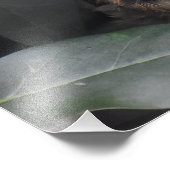 かわいいベビーロビン フォトプリント            (角)