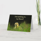 かわいいベビー鳥がん支援 カード (正面)