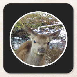 かわいいベビー鹿のポーズのためのカメラ紙コースター スクエアペーパーコースター
