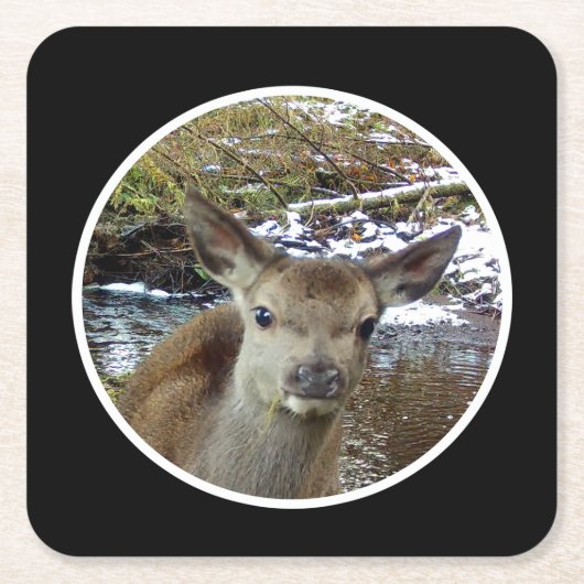 かわいいベビー鹿のポーズのためのカメラ紙コースター スクエアペーパーコースター (正面)