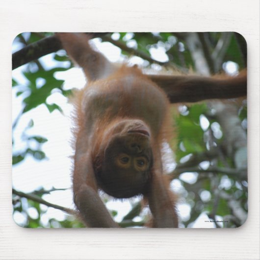 かわいいベビー: ジャングルの野生動物 マウスパッド (正面)