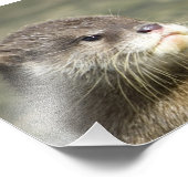 かわいいベビー フォトプリント            (角)