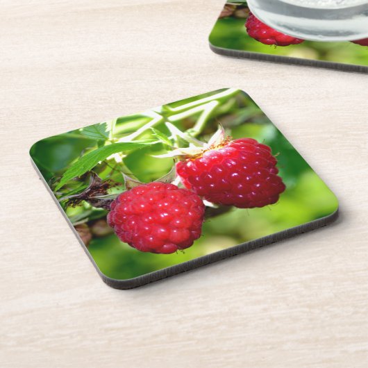 かわいいベリーフォトラズベリー黒い果実 コースター (左側)