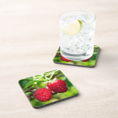 かわいいベリーフォトラズベリー黒い果実 コースター (右側)