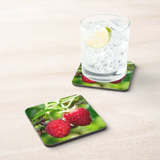 かわいいベリーフォトラズベリー黒い果実 コースター (右側)