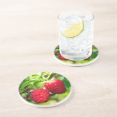 かわいいベリーフォトラズベリー黒い果実 コースター (側面)