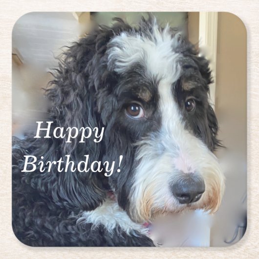 かわいいベルネドードル スクエアペーパーコースター (正面)