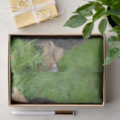 かわいいベルネーズマウンテンドッグパピー 薄葉紙 (ギフト)