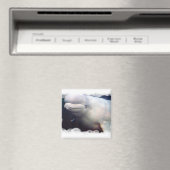 かわいいベルーガ捕鯨磁石 マグネット (インサイチュ (食洗機))