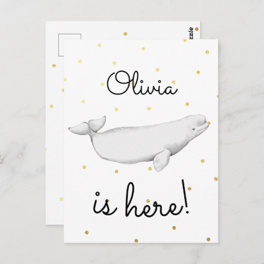 かわいいベルーガ生まれたばかりのクジラベビー誕生のお知らせ ポストカード (正面/裏面)